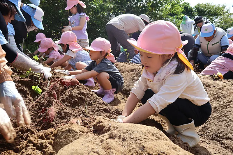 里山イベント部会のさつまいも栽培活動