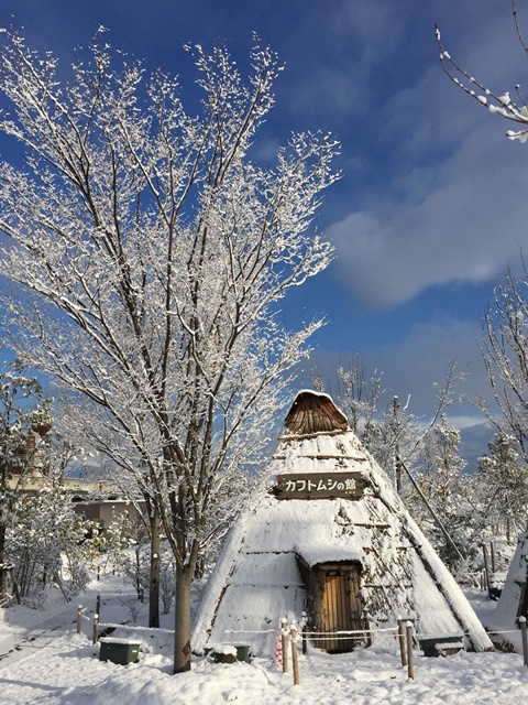 初積雪！｜里山日記｜こまつの杜について｜こまつの杜